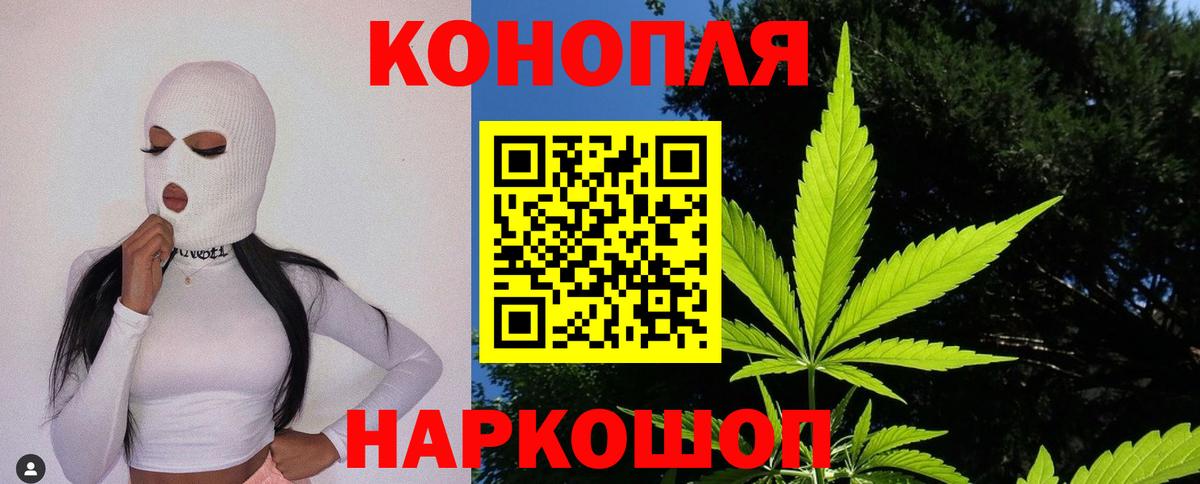 Канабис сатива Елец